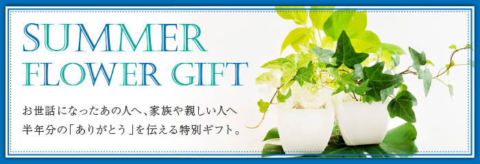 サマーギフト