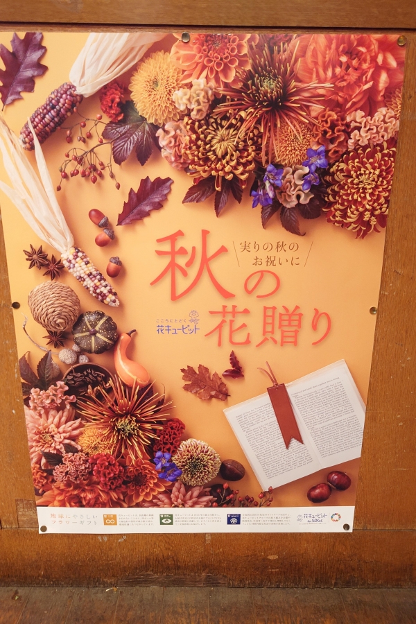 秋の花贈り