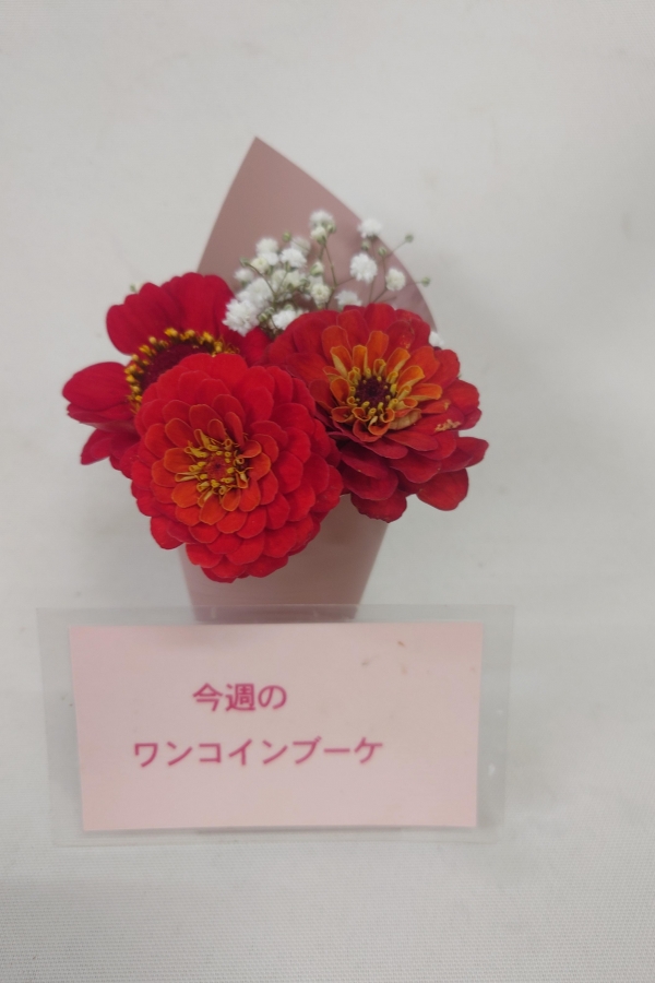 ジニアとかすみ草のワンコインブーケ