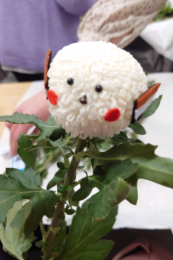 SFC クリスマス講習会いろいろ