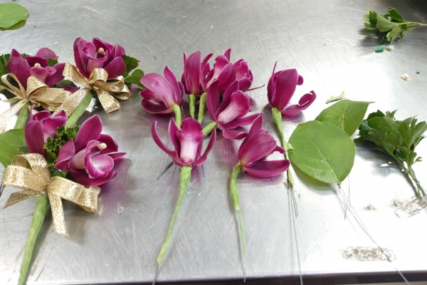 あれから1ヶ月がたちました！シンビジュームの生命力