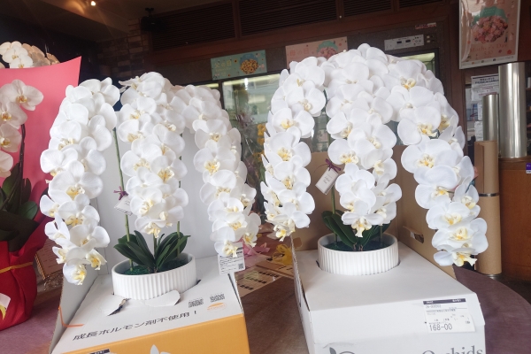 本物と見分けがつきません