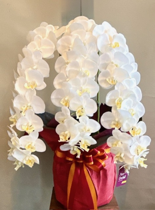 造花の胡蝶蘭