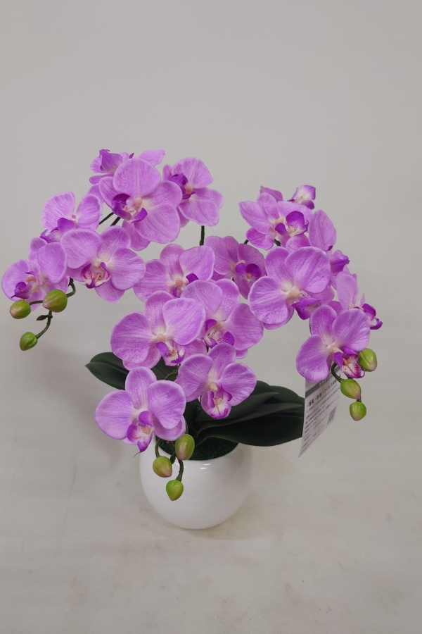 可愛いミニの造花の胡蝶蘭