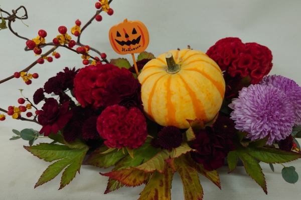ツルウメモドキの動きが楽しいハロウィンアレンジ